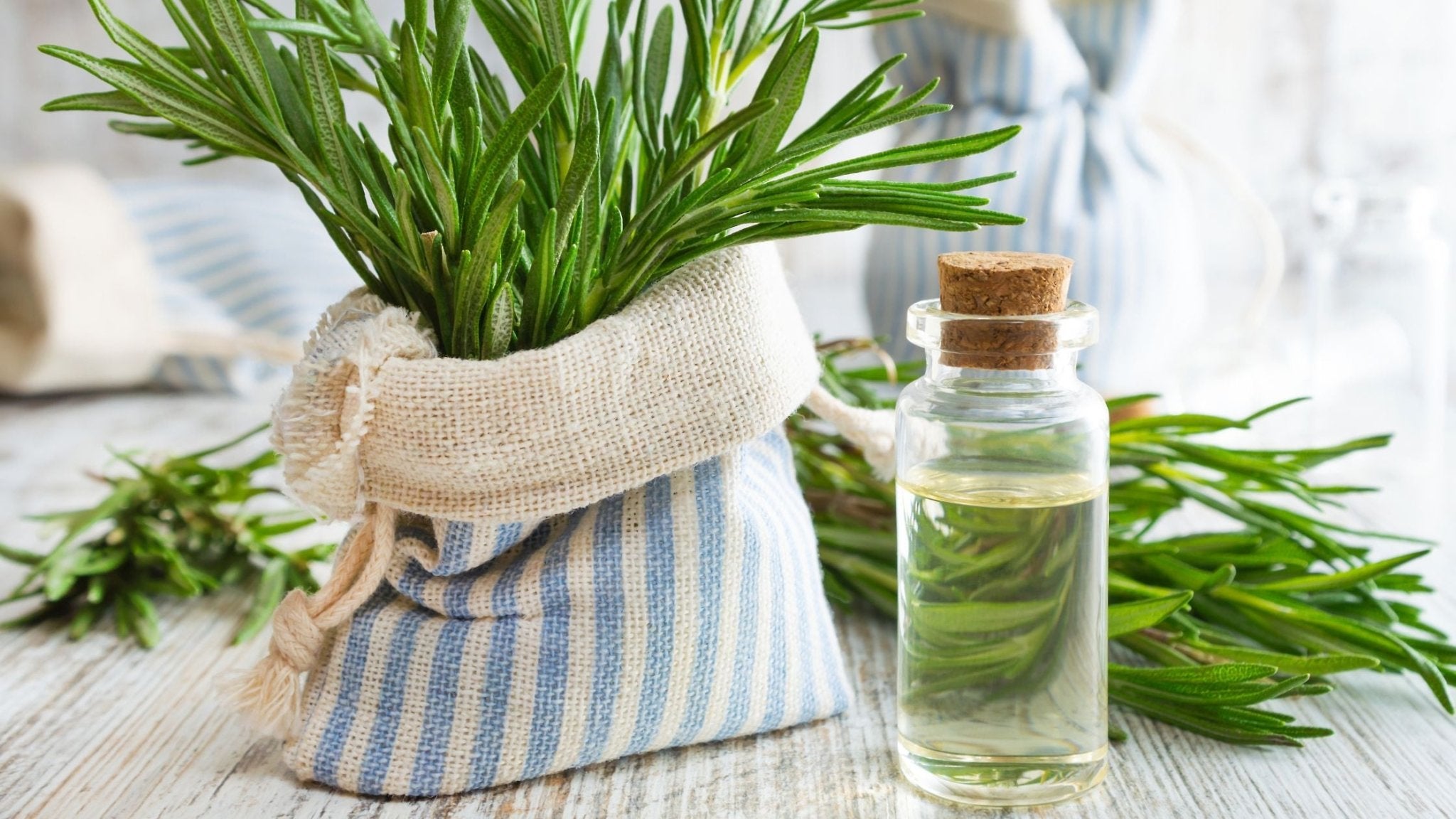 Nurturing Tresses: A Guide to Combat Teenage Hair Loss with Rosemary Oil - Follicle Booster